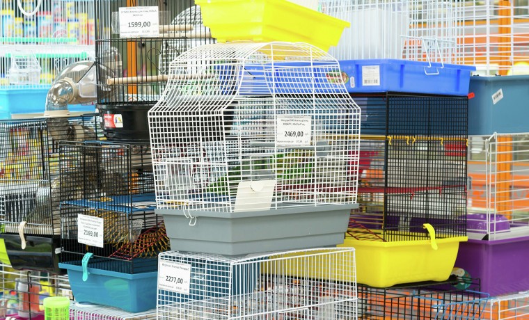 В Госдуме предложили запретить продажу животных через зоомагазины и птичьи рынки