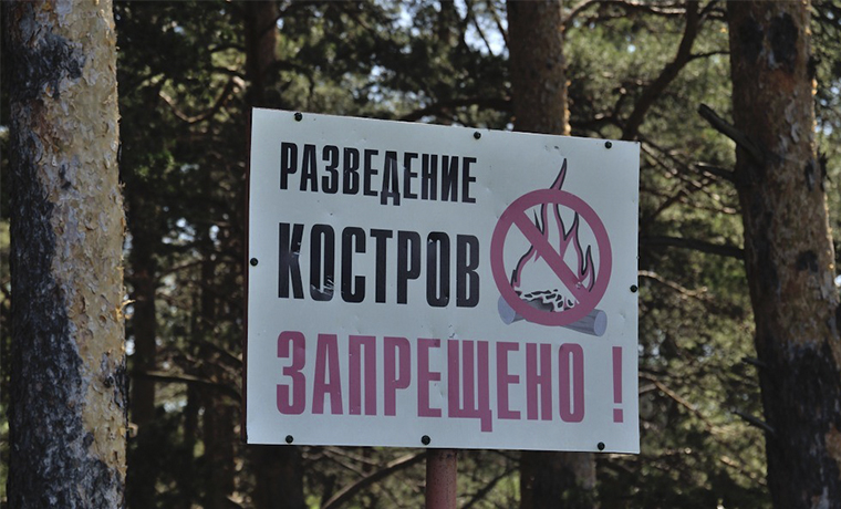В России ужесточат правила противопожарного режима в лесах