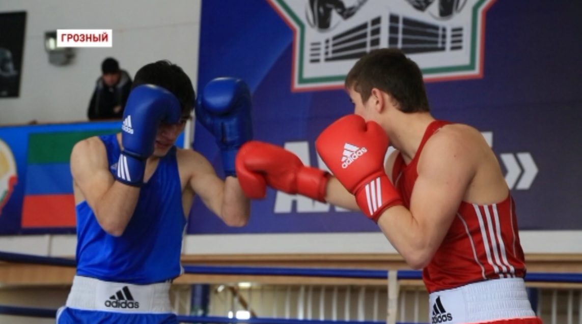 В Чечне  стартовал чемпионат республики по боксу