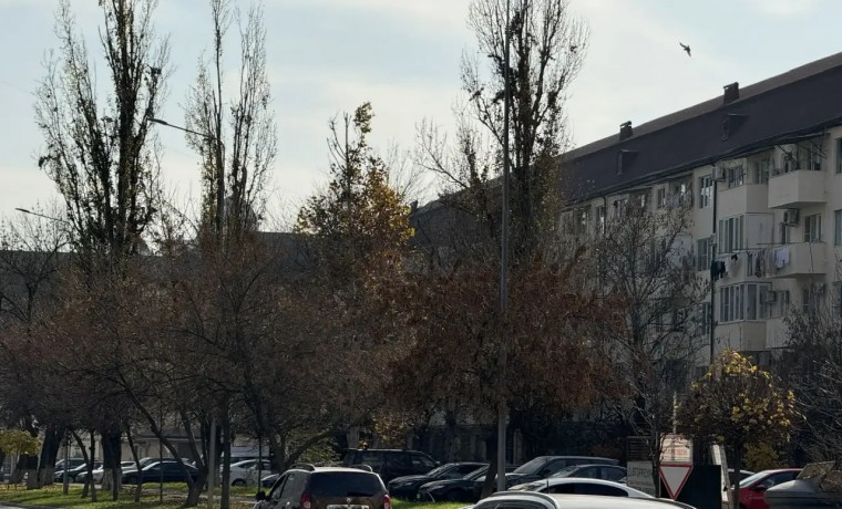 АО «Чеченэнерго» предупреждает о плановых отключениях электроэнергии 13 и 14 декабря