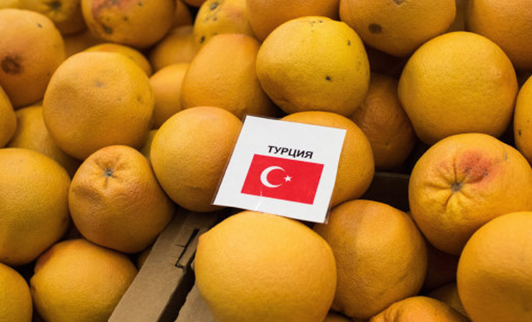 Турция попросила Россию отменить визы для задействованных в торговле водителей