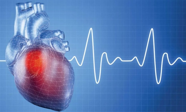 Риск внезапной остановки сердца 7-кратно увеличивают болезни почек