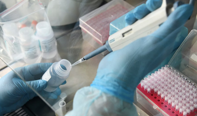 Число проведенных в России тестов на коронавирус превысило 38 млн