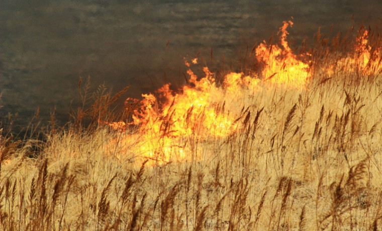 В Наурском и Шелковском районах ЧР прогнозируют высокую пожароопасность