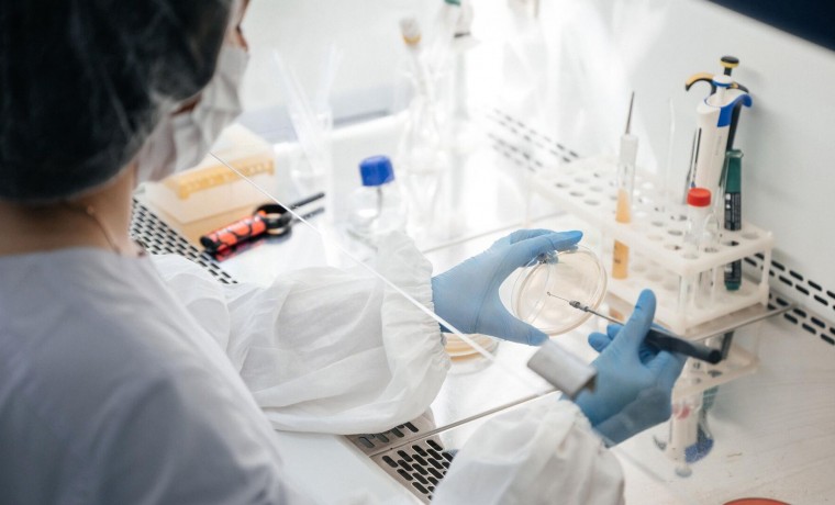 Новые антиоксиданты для медицины и промышленности создали в России