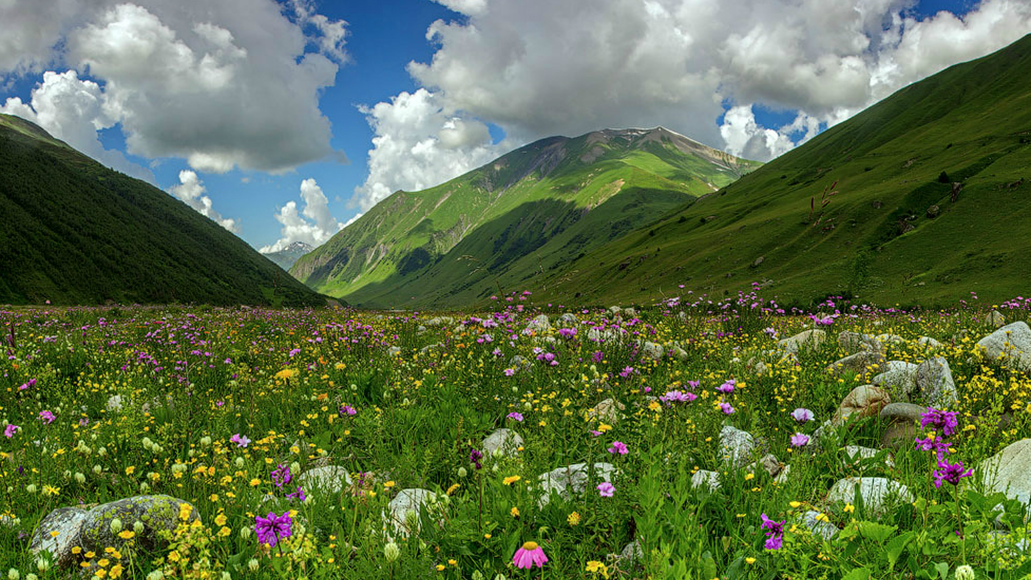 Летняя погода вернется на Северный Кавказ лишь в середине июля
