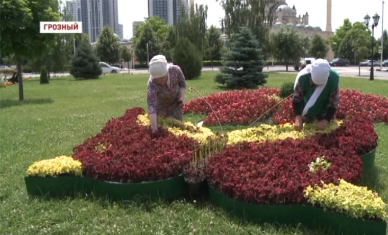 Столица Чечни может стать одним из самых цветочных городов страны