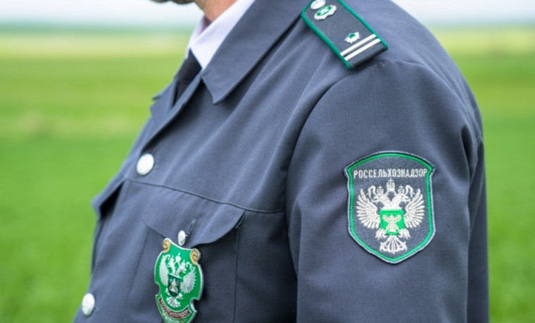 Россельхознадзор упростил оформление актов карантинного обеззараживания