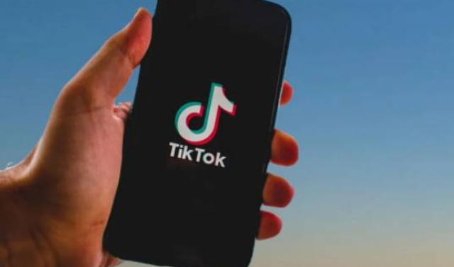TikTok для российских школьников разработает Минпросвещения