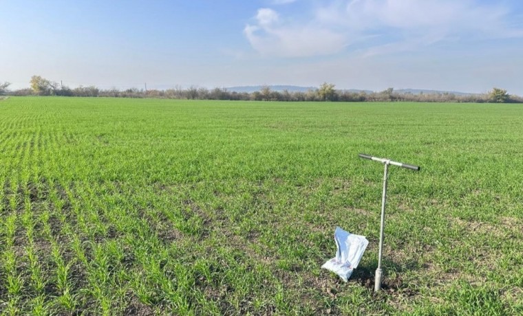 Контрольный выезд Россельхознадзора подтвердил выполнение агрохимических мероприятий