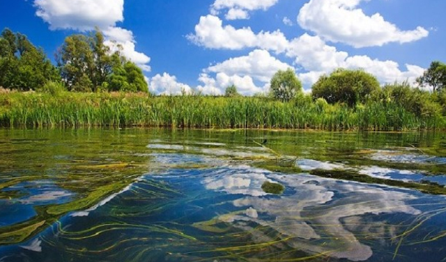 На территории озера Джалкинское в Чеченской Республике создадут рекреационную зону