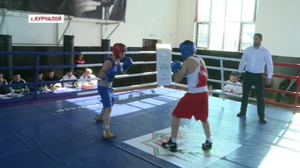 В Курчалое состоялся турнир по боксу среди юниоров памяти Зелимхана Кадырова