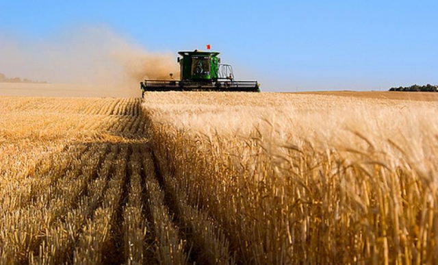  В Минкавказе отметили стабильный рост сельхозпроизводства в СКФО за последние 5 лет 