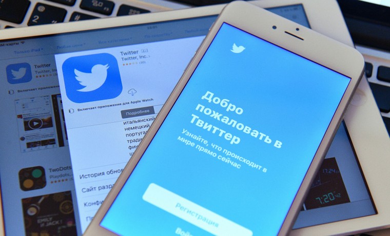 В Госдуме обсудили эффект от замедления скорости работы Twitter