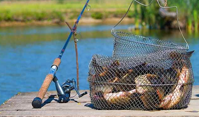 Росрыболовство рассказало о новых правилах рыбалки на 2020 год 