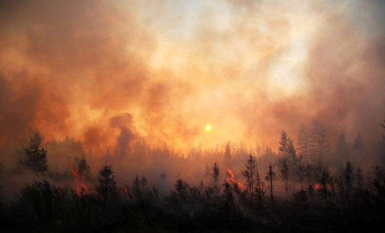 Предпоследний уровень опасности пожаров грозит Центру России