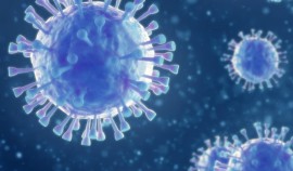 В ЧР за сутки выявлено 2 случая заражения коронавирусной инфекцией
