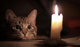 «Чеченэнерго» информирует о следующих временных отключениях электроэнергии| грозный, чгтрк