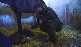 Рамзан Кадыров посетил ипподром в Гудермесе