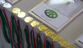 Учителя физкультуры муниципальных школ Грозного приняли участие в турнире по волейболу| грозный, чгтрк