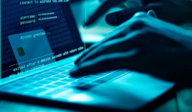 Рост финансового мошенничества подчеркивает необходимость совместных усилий — эксперт СКИ РАНХиГС