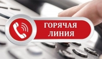 Прокуратура Чечни открыла «горячую линию» по защите прав детей