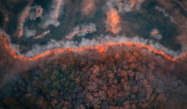 Минприроды ЧР объявило о сокращении «зон контроля лесных пожаров» до безопасного уровня