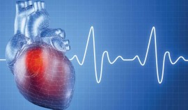 Риск внезапной остановки сердца 7-кратно увеличивают болезни почек