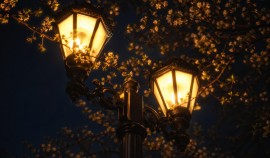 Плановые отключения электроэнергии ожидаются 22 апреля в ряде районов ЧР