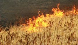 В Наурском и Шелковском районах ЧР прогнозируют высокую пожароопасность