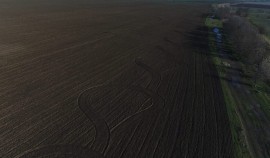 В Чеченской Республике проверили 461 га озимых на соблюдение норм применения родентицидов