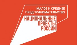 Более 338 млрд рублей получил бизнес за три квартала 2024 года под зонтичные поручительства