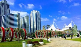 Более 100 тысяч разнообразных цветов украсят скверы и парки Грозного