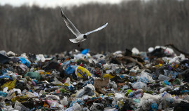 В ЧР начали ликвидацию мусорных свалок