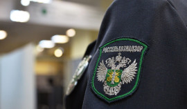 В Чеченской Республике аннулирована декларация на 1 тыс. тонн пшеницы
