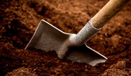 Ведется работа по выявлению самозахвата земельных участков