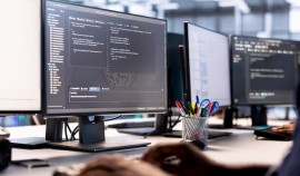 Эксперт СКИ РАНХиГС: IT-компетенции вошли в число самых востребованных в программе «Кадры»