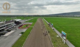 Послы стран Арабского залива побывали на Грозненском ипподроме им. С.-Х. Закаева