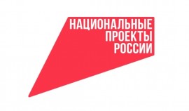 Более 61% россиян уже в спорте: как госпрограмма «Спорт России» помогает делать спорт доступным