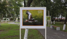 В Курчалой открыли «Парк Птиц», построенный по нацпроекту «Жильё и городская среда»