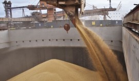 В 2025 году Чеченская Республика экспортировала 39 тыс. тонн зерна под контролем Россельхознадзора