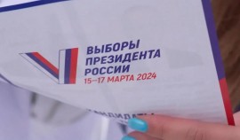 Более 3-х миллионов жителей РФ подали заявки на участие в электронном голосовании на выборах