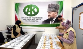 РОФ им. А.-Х. Кадырова оказал помощь 90 тяжелобольным детям в секторе Газа