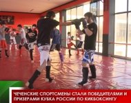 Чеченские спортсмены стали победителями и призерами Кубка России по кикбоксингу