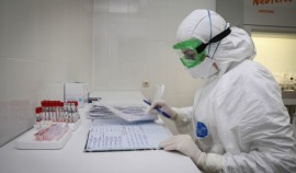 За сутки в Чеченской Республике выявили 125 случаев заражения коронавирусом
