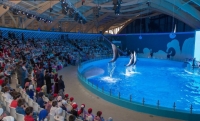 Крупный развлекательно-оздоровительный комплекс "Грозненский дельфинарий" открылся в ЧР