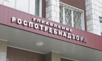 Роспотребнадзор дал рекомендации по сбору, покупке и хранению грибов