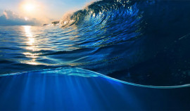 В 2021 году наблюдалась самая высокая температура Мирового океана за всю историю