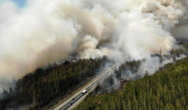 В России зафиксировали 65 очагов лесных пожаров