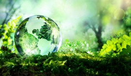 Фонд «Экология» РСХБ рассказал, как провести майские праздники без вреда для экологии| грозный, чгтрк